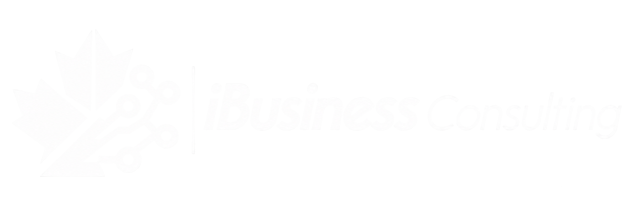 iBusiness Consulting